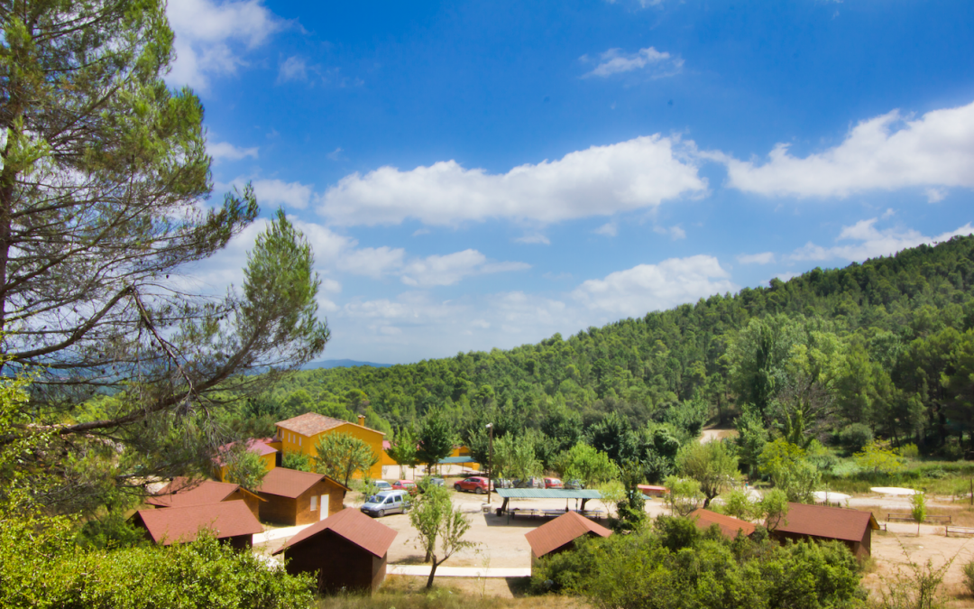 SE VENDE INSTALACIÓN CAMPAMENTAL A PLENO RENDIMIENTO