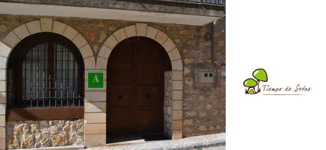 ALBERGUE TIEMPO DE SETAS