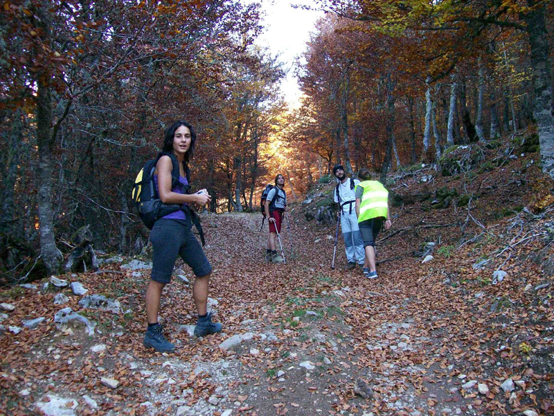 NATUROCIO NATURALEZA - MULTIAVENTURA