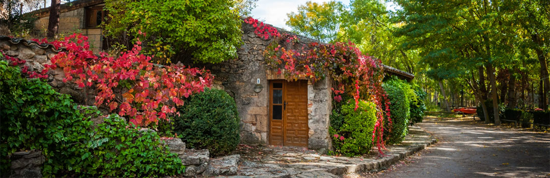 ALBERGUE RURAL EL MOLINO