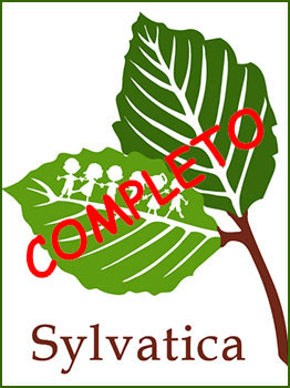 CAMPAMENTO SYLVATICA 2022