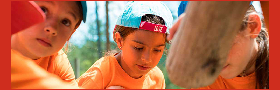 CAMPAMENTO DE NATURALEZA Y AVENTURA 2025